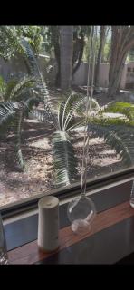 Sandton Holiday Home - 3