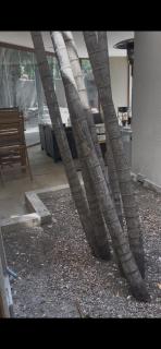 Sandton Holiday Home - 1