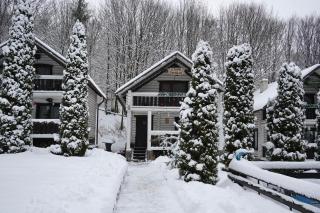 База відпочинку Forest Stream - 0