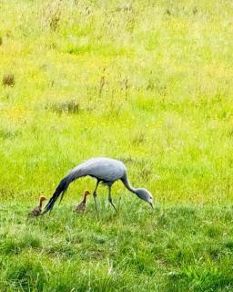 Harrismith - Verkykerskop Function & Wedding Venue - 4