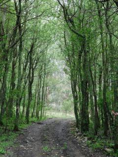 Harrismith - Verkykerskop Function & Wedding Venue - 1