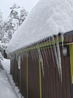 Bungalow a Setcases i Vallter - 8