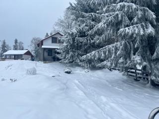 Căsuța din Pădure - 7