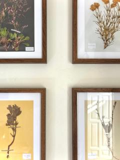 Casona de Santa Ana - 1