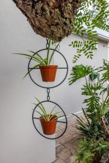 The Annexe on Constitution - 5