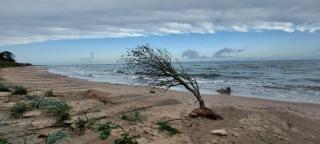 Brīvdienu mājas Lejnieki - 1