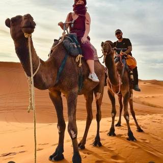 Magic Luxury Camp - 1