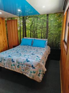 Habitaciones cómodas para descansar - 5