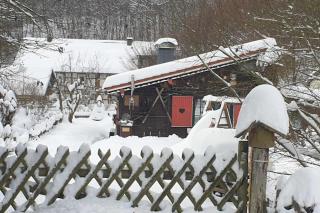 Ferienhaus in Wieda mit Garten - 9