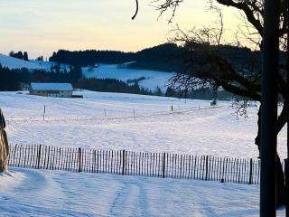 Genau so - Allgäu! Sau Gemütlich - 6