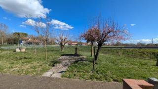 La Coccinella studio apartment, relaxation near Ravenna - 5