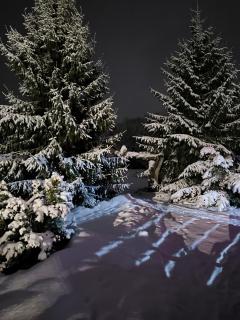 Sodyba 15 Ąžuolų - 2