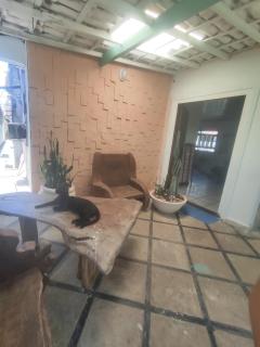 Art Nativa Casa - 3