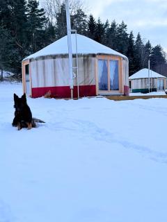 Glamping Niebiańska Osada Jurty Dolnośląskie - 8