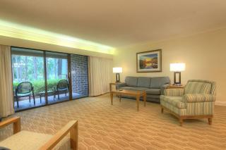 Luxury 1 Bedroom Condo in Palm Harbor Florida 2 Miles From Beach Sleeps 4 - 4