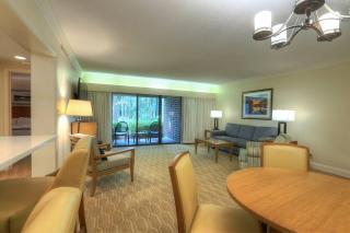 Luxury 1 Bedroom Condo in Palm Harbor Florida 2 Miles From Beach Sleeps 4 - 5