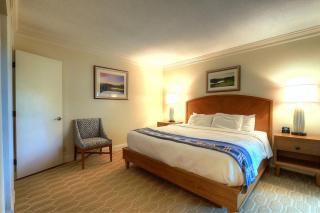 Luxury 1 Bedroom Condo in Palm Harbor Florida 2 Miles From Beach by David Rigney Real Estate Solutions - 6