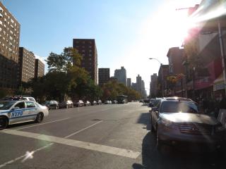 2BR APT near Mount Sinai & Metropolitan Hospitals - 7