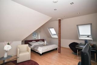 Salinen-Schlösschen - 8