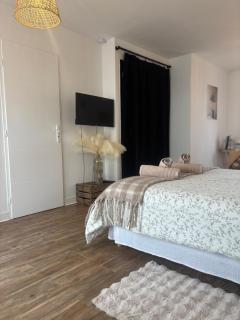 Suite climatisée -Proche Arena & Grands buffets - 2