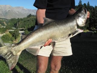 Mt Hutt Lodge - Windwhistle - 3