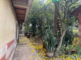 Casa Alba, El Poblado - 3