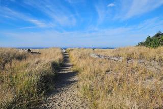1and8 Mi to Neskowin Beach! Cozy Oregon Coast Home - 4