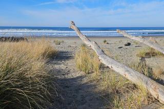 1and8 Mi to Neskowin Beach! Cozy Oregon Coast Home - 3