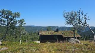 Magic View - Unspoiled nature - Summer mountain pasture with goats - 0