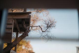 Day Street Retreat - Family Haven by Middleton Beach - 5