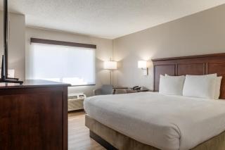 Best Western The Inn at Sharon - Foxboro - 1