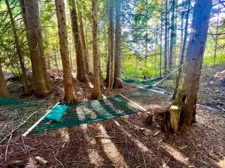 Private Forest Lodge Near Silverwood Theme Park - Sleeps 10 - 4