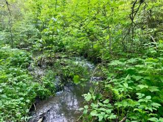 Private Forest Lodge Near Silverwood Theme Park - Sleeps 10 - 9