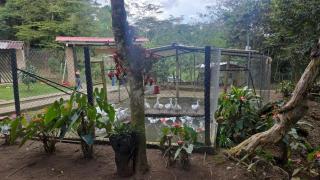 Tu Escapada Ideal con Río Privado - 4