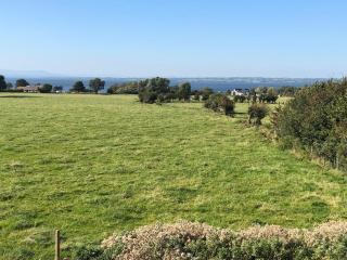 Room with a View - 5