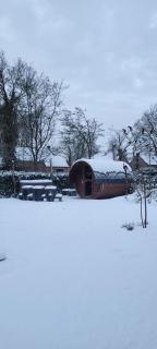 Evergreen wellness met sauna & hottub - 9