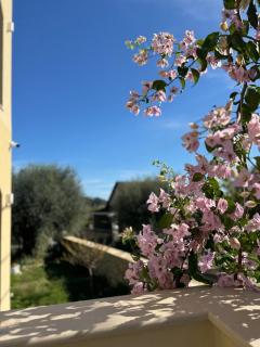 OLEA Luxury Apartments - 7