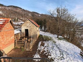 Породично газдинство Вучићевић Porodično gazdinstvo Vučićević - 2