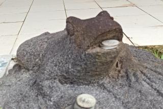 Oasis nature et cascade privée - 3