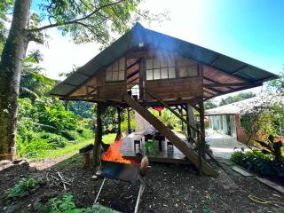 Oasis nature et cascade privée - 2