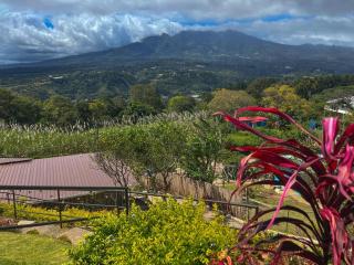 Aldayah Tiny Village - 8