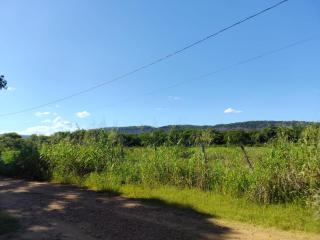 Casa DESconecta - Natureza, Silêncio e Peruaçu! - 4