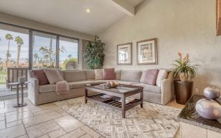 VB535 - Palm Beauty - Alice Lodging - 9