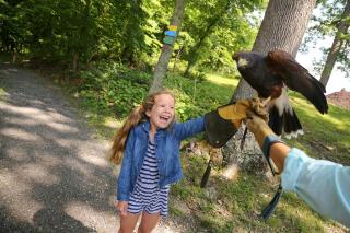 The Omni Homestead Resort & Spa - 8