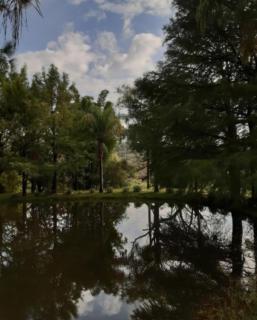 La Lobera Cabañas El Tlayan - 7