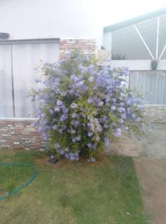 Casa Federación - 4