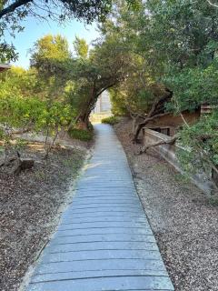 Oceanview Luxury - 5BR - Hot Tub - Steps to Beach - 9