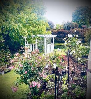 Amaroo Guest House - 3