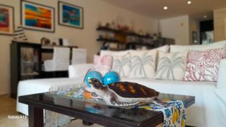 Citnos Luxury Accommodation - 2