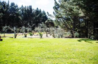 Rustic farm chalet on lifestyle farm block - 5